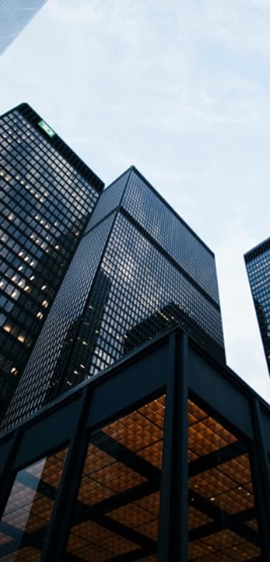 Esas Danışmanlık mobil banner